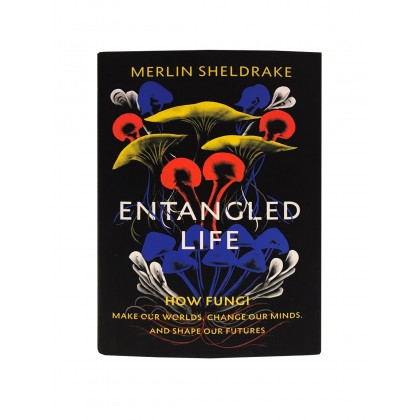 Entangled Life, How Fungi make our worlds, change our minds, and shape our futures by Merlin Sheldrake