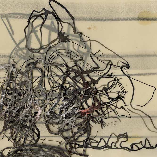 LINEAGES 29 January – 28 February, 2026.