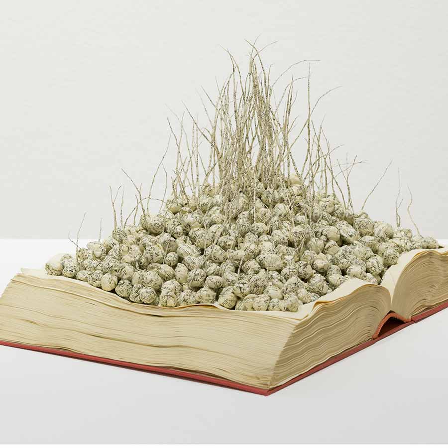 <strong>Jukhee Kwon</strong>, <em>Sprouting</em>, 2019. Paper  (book), 16 x 29 x 20 cm.